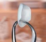 vinir1 дент идеал луначарского 13 телефон